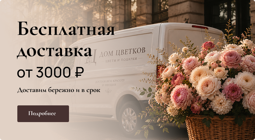 Бесплатная доставка